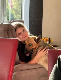 Lidl - ein wahrer Freund u. Familienhund - Idstein