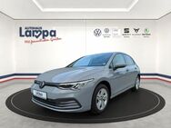 VW Golf, 2.0 TDI VIII Life, Jahr 2020 - Lengerich (Niedersachsen)