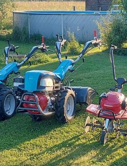 Bodenfräse mieten leihen Gartenfräse Motorhacke Gartenhacke Fräse - Fridolfing