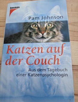 Katzen auf der Couch - Hamm
