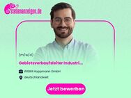 Gebietsverkaufsleiter Industrie & Handel (m/w/d)