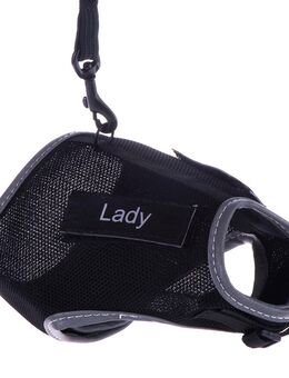 Trixie Katzengeschirr XCat mit Sticker und Leine - schwarz