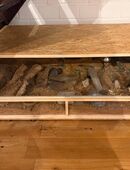 Leopardgeckos 3 Stück inkl terrarium in 25597