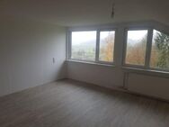 *** Zwei Zimmer Küche Bad Wohnung ab dem 01.01.25 in Niedenstein Kirchberg zu vermieten *** - Niedenstein