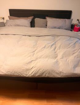 Boxspringbett 180x200 - Neuenburg (Rhein) Zentrum