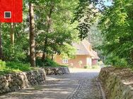 Waldidyll im Landkreis Vorpommern-Rügen!! - Preetz (Mecklenburg-Vorpommern)