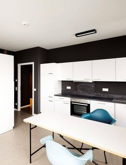 Furnished! 1-room apartment with fully-equipped kitchen - Darmstadt