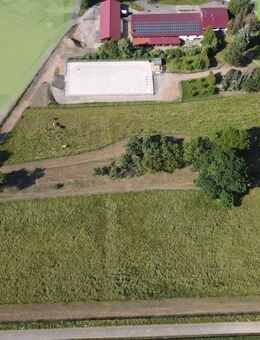 Exklusives Anwesen mit Wohnhaus, Reitanlage, Werkstatt und Photovoltaik – Sofort bezugsfertig für Zwei- und Vierbeiner - Hardheim