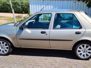 Ford Fiesta MK4 - 37 kW/50 PS - zum Herrichten oder f. Ersatzteile....es lohnt sich ! - Rhens