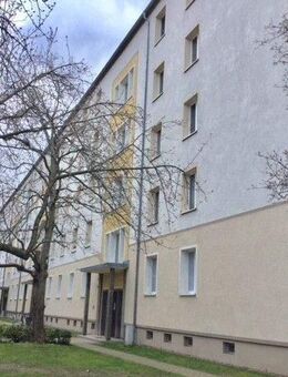 Striesen: Große 2-Zimmerwohnung nahe der Universitätsklinik - Dresden