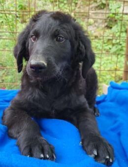 Yuki 💗 froher, aufgeschlossener Bub! - Hamburg