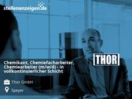 Chemikant, Chemiefacharbeiter, Chemiearbeiter (m/w/d) - in vollkontinuierlicher Schicht - Speyer