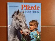 Pferde - Mein Hobby. Gebundene Ausgabe v. 1991. Kinderbuchverlag Luzern - Rosenheim
