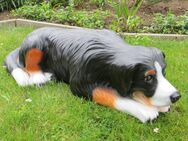 Berner Sennenhund liegend Dekofigur Gartendeko - Hergisdorf