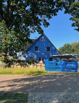 Das blaue Friesenhaus in sehr ruhiger Lage im Ostseeheilbad Zingst - Zingst (Ostseebad)
