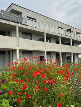 2,5-Zimmer Gartenwohnung mit Blick in die Weinberge - Uffenheim