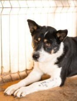 Die sanfte, liebe Lara taut langsam auf - München