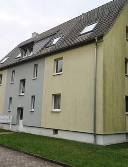 3 RWG - Hell und Ruhig - EG in Haselbach - Haselbach (Thüringen)