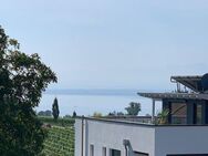 Exklusive 2-Zimmer-Wohnung mit Blick auf den Bodensee und das Alpenpanorama - Stetten (Baden-Württemberg)