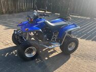 Yamaha Warrior 350 - Merzen