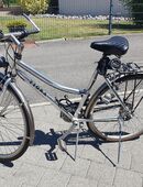 Tigra Velo in 5742