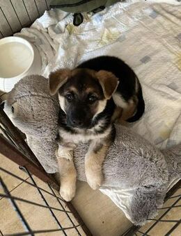 253699 - zusammen sind wir stark - Overath