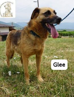 Glee Ruhe, Herz und Abenteuerlust ... - Kissing