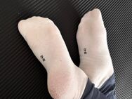 Getragene Socken (nach Wunsch) suchen ein neues Zuhause! - Rheine