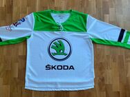 Trikot Eishockey WM - Köln