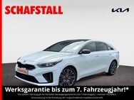 Kia - Bergheim (Nordrhein-Westfalen)