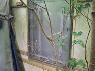 tabbert baronesse 655 Bj.2003 Teile - Dortmund
