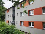 Modernisierte 2-Zimmer Wohnung mit EBK in Seesen - Seesen