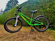CONWAY MC 101 – 23 Zoll Kinder-Mountainbike in Top-Zustand! - München Thalkirchen-Obersendling