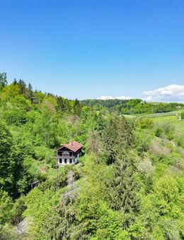 **Alleinlage mit Aussicht - euer Familienparadies im Grünen** - Passau