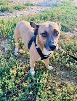 𝗥𝗨𝗗𝗜 💙 - Markkleeberg