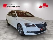 Skoda Superb, 2.0 TDI Combi SportLine, Jahr 2017 - Bielefeld