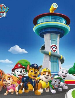 Bönninghoff Leinwandbild Paw Patrol, Filmfiguren (1 St), BxH: 35x35 cm
