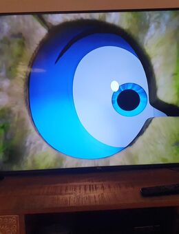 43 Zoll Smart Fernseher von TCL - Frankfurt (Main) Oberrad