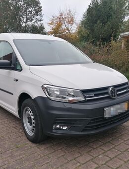 Volkswagen Caddy Maxi 1,4 TGI, Benzin/CNG, Sortimo-Regale, Sitzheizung, Tempomat, AHK, LKW-Zulassung und Vieles mehr - Friedrichsholm