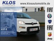 Fiat Panda, 1.0 HYBRID GSE 70PS E6D FINAL, Jahr 2024 - Marpingen