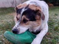 Huckleberry Finn freut sich auf dich! - München
