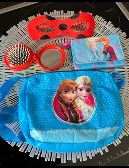 Anna und Elsa | Ladybug | Kostüm | Haarbürste | Tasche |SET| GUT - Dresden