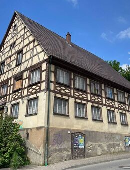Hirsch Uttenweiler - Uttenweiler