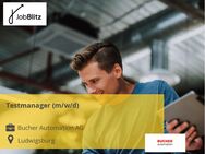 Testmanager (m/w/d) - Ludwigsburg