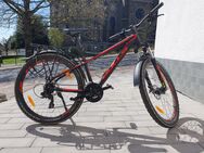 Mountainbike Bulls Racer Street - Nickenich