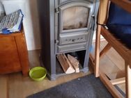 EEK A+ Kaminofen Forte gussgrau mit Herdplatte - 5,4kW Kamin Ofen Holzofen - Neuenstadt (Kocher)