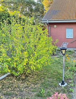 Einfamilienhaus auf sonnigem Grundstück in schöner ruhiger Lage von Nassenheide bei Oranienburg - Löwenberger Land