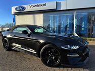 Ford Mustang GT Cabrio *55 Years*LED*ACC*RFK*B&O* - Brake (Unterweser)