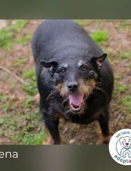 Reena: Neustart! Los gehts! - Kirchzell