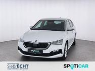 Skoda Scala, 1.0 TSI Style, Jahr 2024 - Uslar